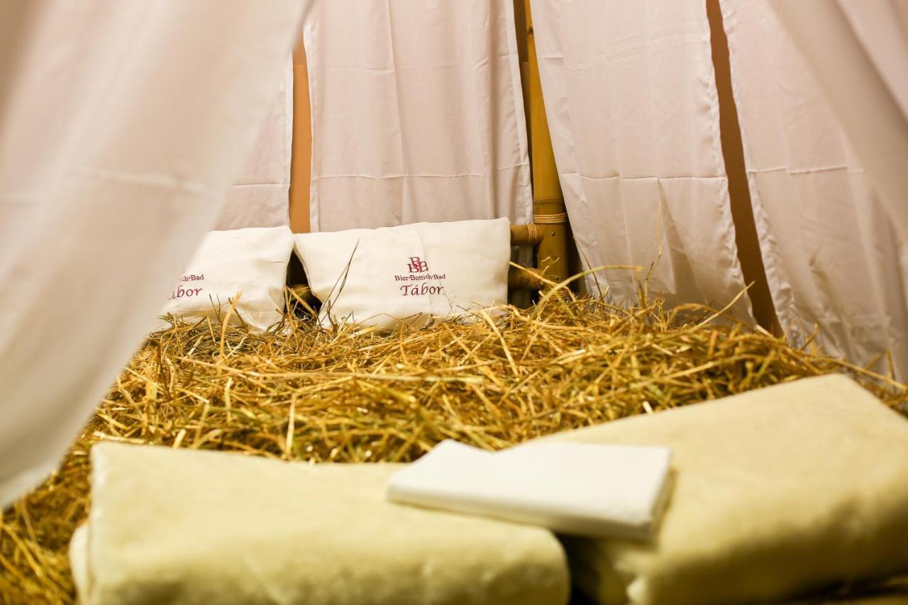 Lh Hotel Dvorak Tabor Congress & Wellness エクステリア 写真